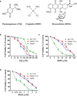 Thymoquinone Selectively Induces Hepatocellular Carcinoma Cell Apoptosis in Synergism With Clinical Therapeutics and Dependence of p53 Status